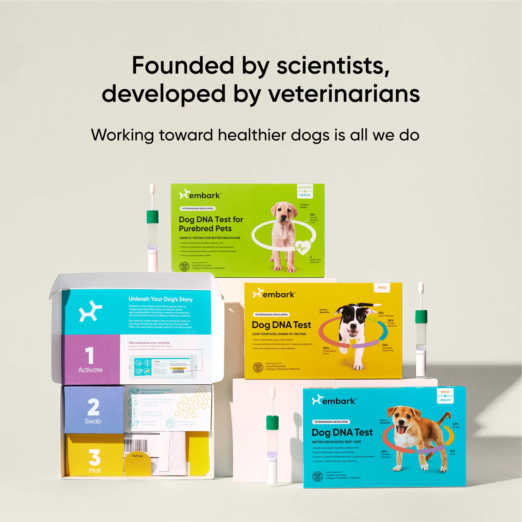 Shop All - Tests
